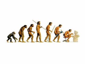 Школа эволюции