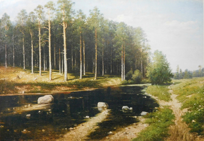 «Сосновый бор на берегу реки». Поленов В.И. 1908г.